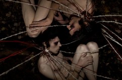 ::..ZONDUSTRIAL..::