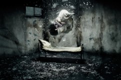 Descartes a Kant:.. Artwork for IL VISORE LUNATIQUE